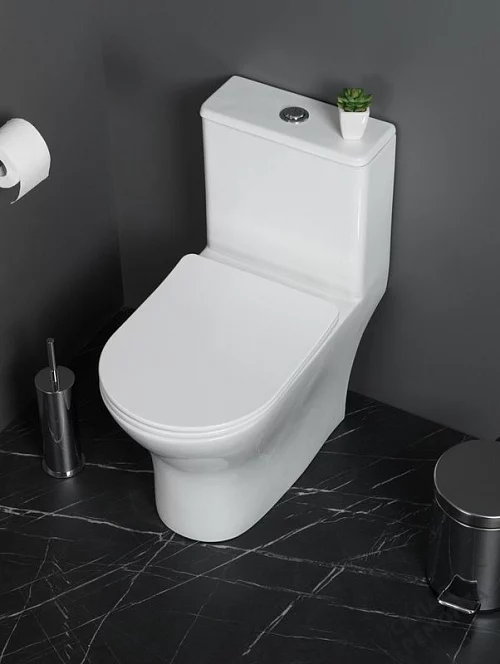 Фото Унитаз моноблок BelBagno Lounge BB8618CPR-MN/SC безободковый купить в Иркутске: цена, описание, фото. Интернет-магазин 1