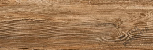 Фото Керамогранит матовый Lasselsberger Ипанема 6264-0011 (структурный) коричневый 200*600*8,5 – купить в Иркутске: цена, описание, фото. Интернет-магазин 3